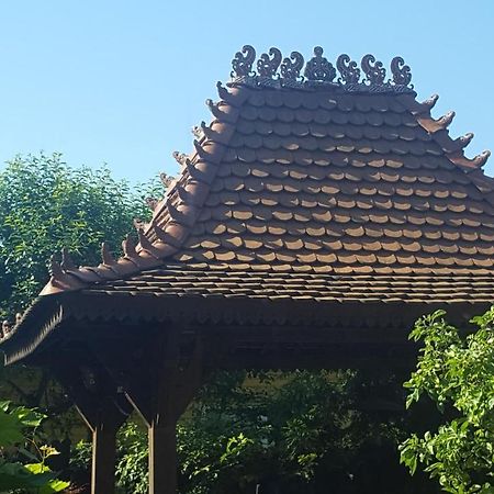 Pas Birute Hotel Kaunas Bagian luar foto